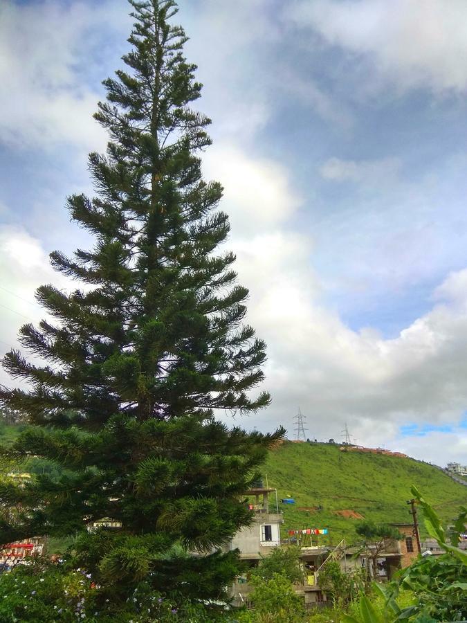 שילונג Latei Ville Inn מראה חיצוני תמונה